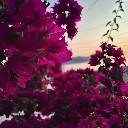 Joana 2 Appartamento Vlorë